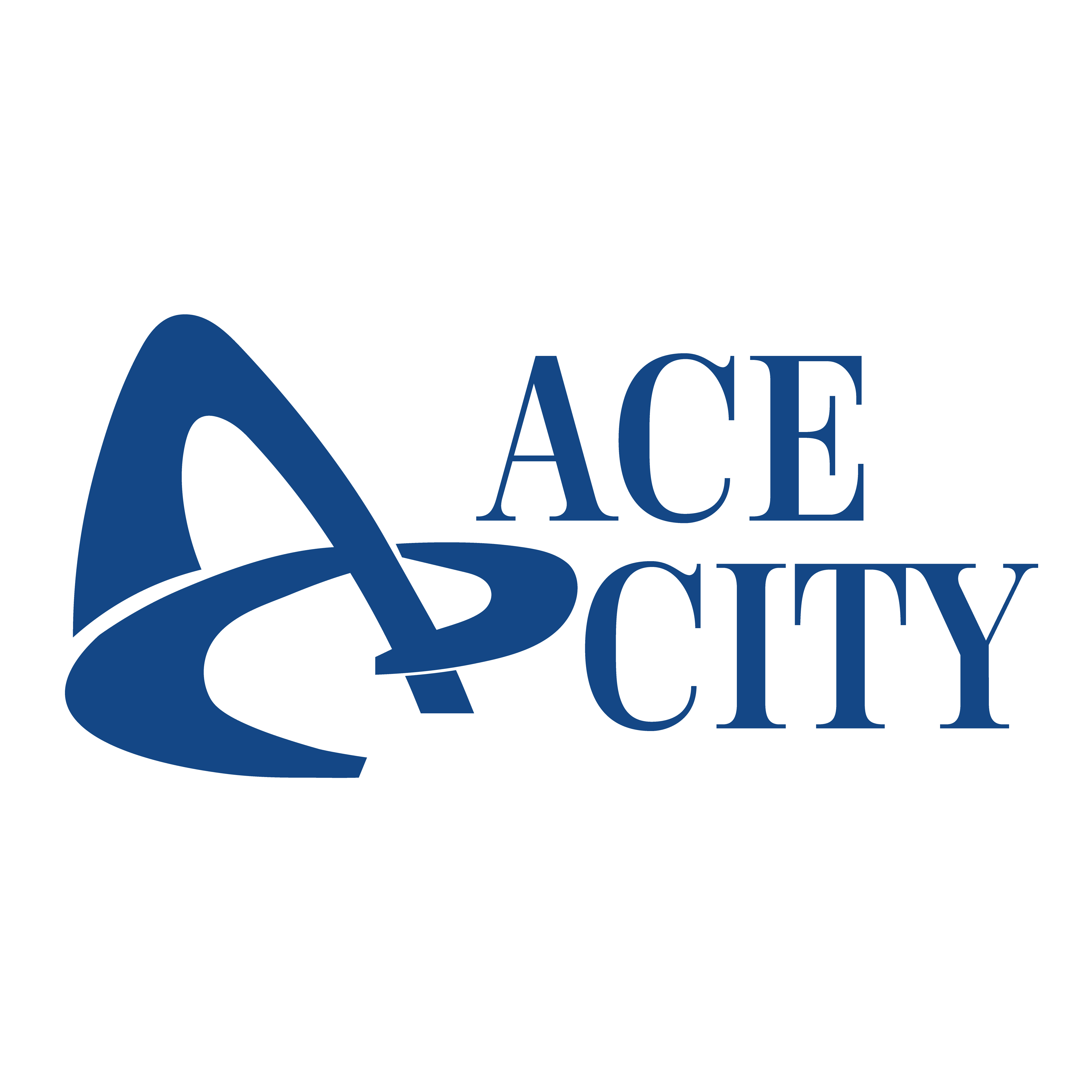 Ace City Inc